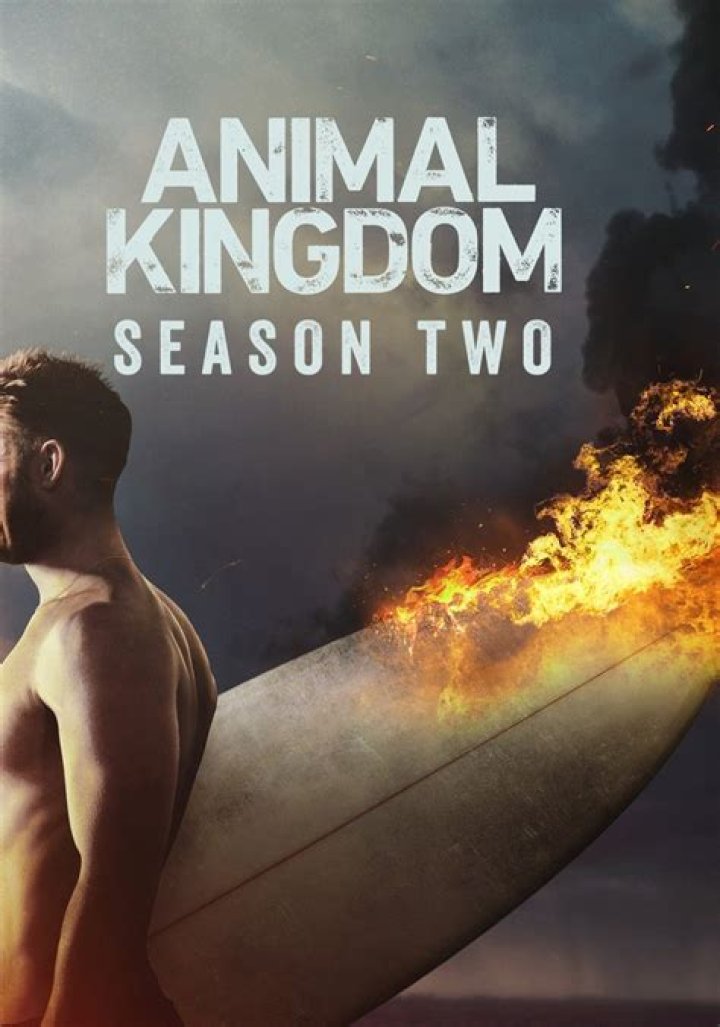 S02.E13: Betrayal - Animal Kingdom