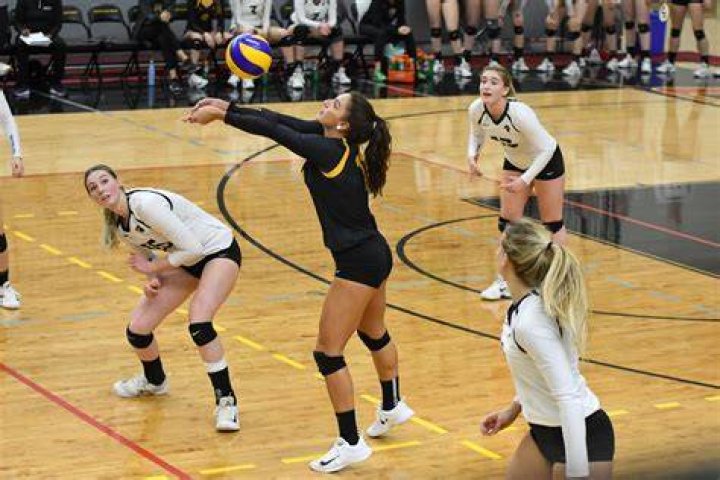 Sarina Trasolini's Women's Volleyball Recruiting Profile