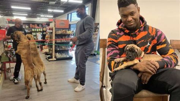 “Scar and Zanos!”: Zion Williamson Explains Reasoning Behind His Bullmastiffs’ Names