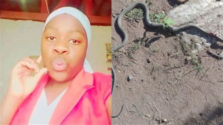 School Girl Bitten By Black Mamba Died Within 30 Minutes