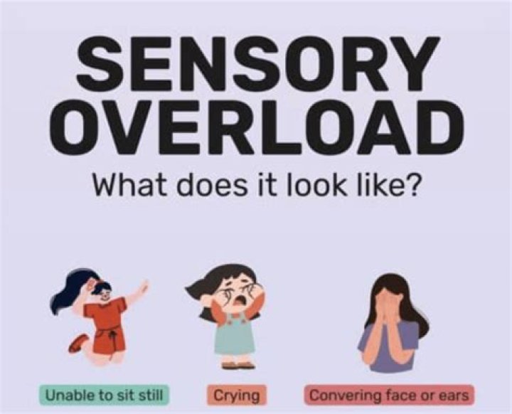 Sensory Overload - All About Vision