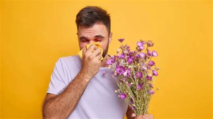 Sequedad nasal: así puedes aliviarla