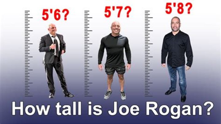 Seth Rogen Height Weight Body Stats
