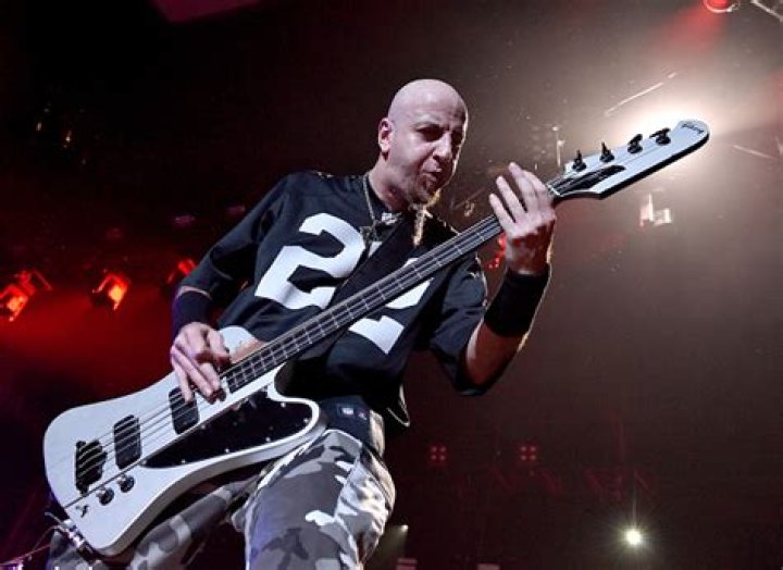 Shavo Odadjian Net Worth  - Pulptastic