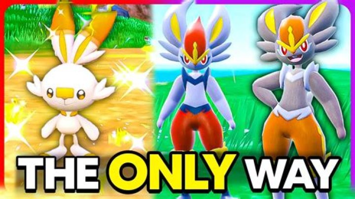 Shiny Cinderace Pokemon Scarlet and Violet