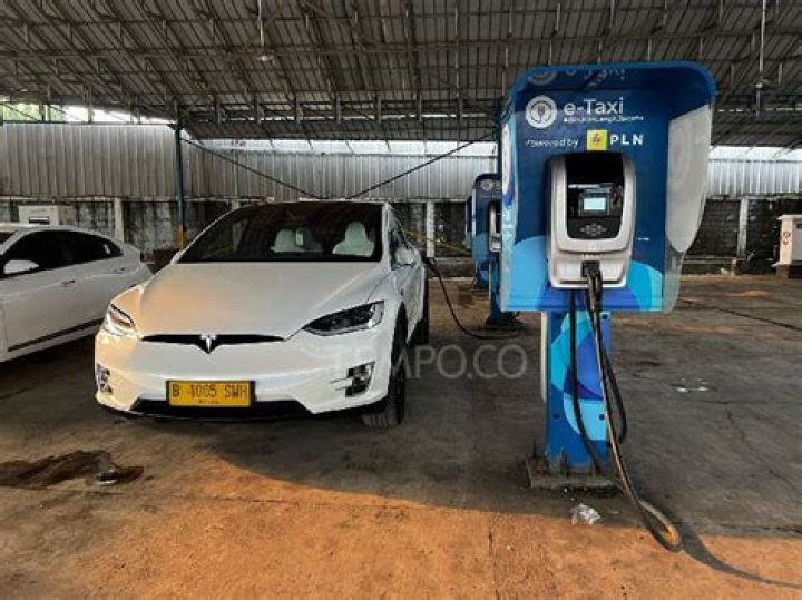 Silver Bird's Tesla Model X Car is Too Sensitive, Says Blue Bird