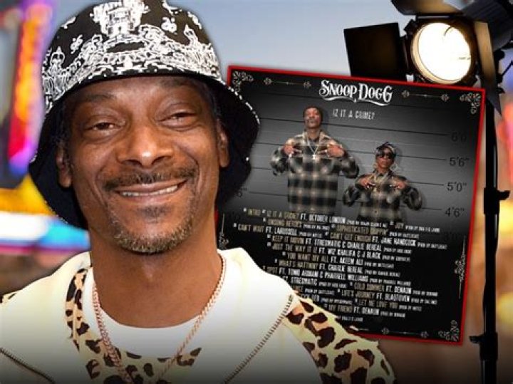Snoop Dogg Criminal Record: A Deep Dive Into His Legal Troubles