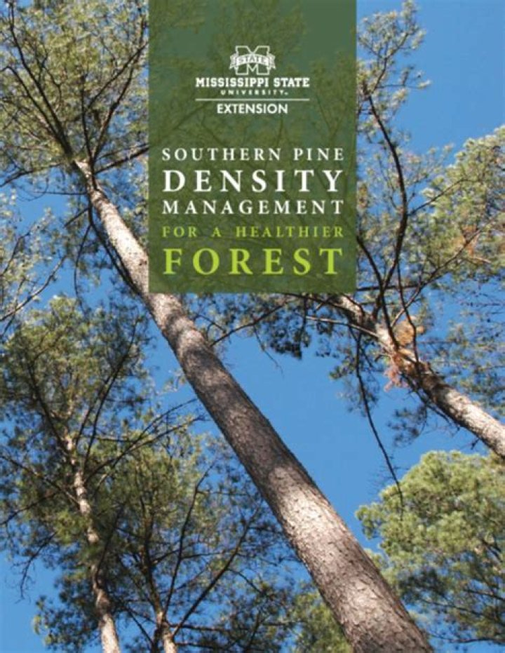 Southern Pine Density Management for a Healthier Forest