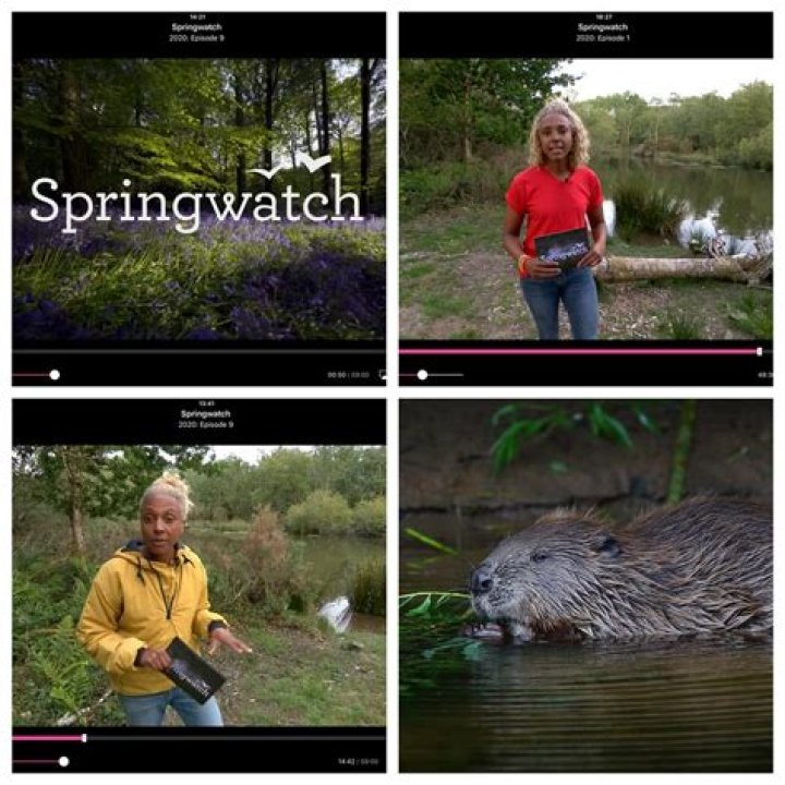  Springwatch 2020: When is it on? Start date, episode guide and presenters for BBC series! Wed 20 May 2020 12:25 Filiz Mustafa 