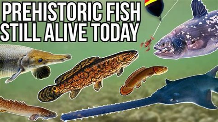 Still Alive Today: Celebrating Those Who Inspire Us