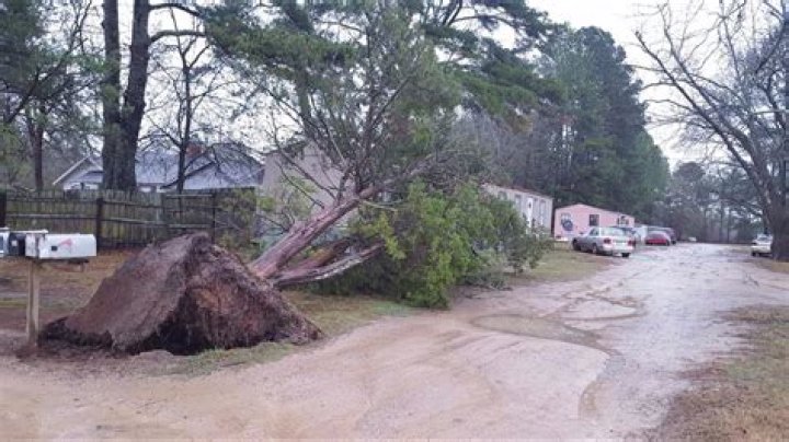 Striking photos show storm damage in SW Georgia