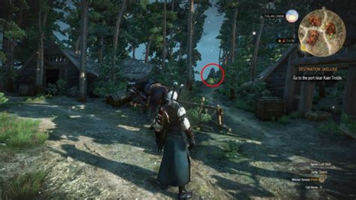 Superior Griffin Gear | The Witcher 3