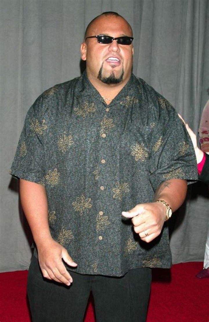 Tazz Net Worth  - Pulptastic
