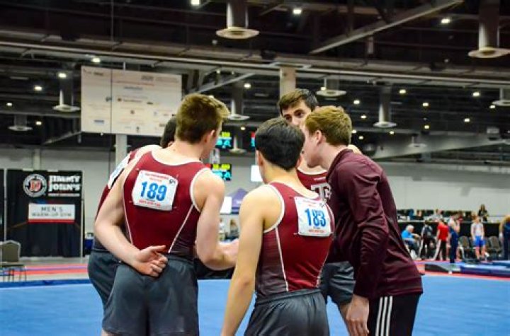 Temple University Women's Gymnastics Scholarships Guide