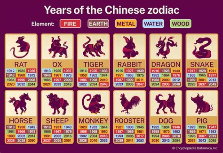 The 5 Chinese Zodiac Elements: Chart And Meanings