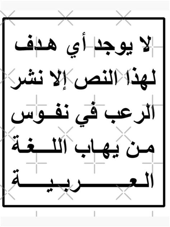 The Arabic message on this bag is designed to 'terrify' Islamophobes