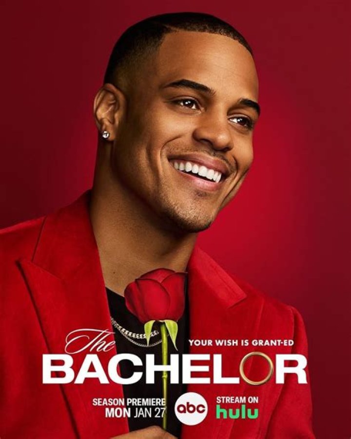 The Bachelor: Latest News, Analysis & Opinion
