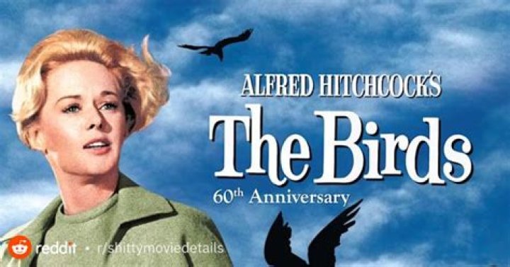 The Birds Antagonist