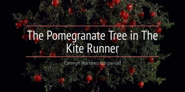 The Pomegranate Tree in The Kite Runner