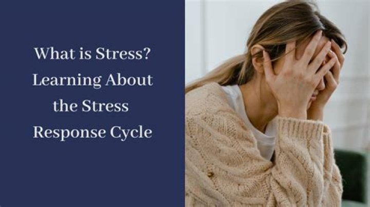 The Stress Response Women Need to Stop Ignoring