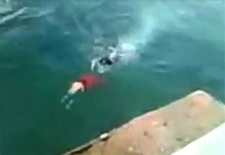 The Tragic Diving Accident Of 2009: A Deep Dive Into The Incident