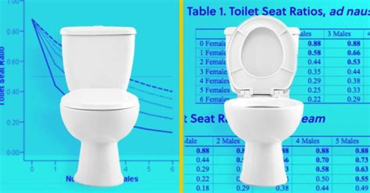 There's A (Complicated) Solution to the Toilet Seat Up or Down Debate