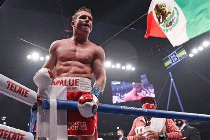 Todas las peleas de Canelo Álvarez: rivales, victorias y derrotas