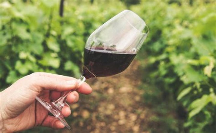 Tomar una copa de vino al día, ¿tan saludable como dicen?
