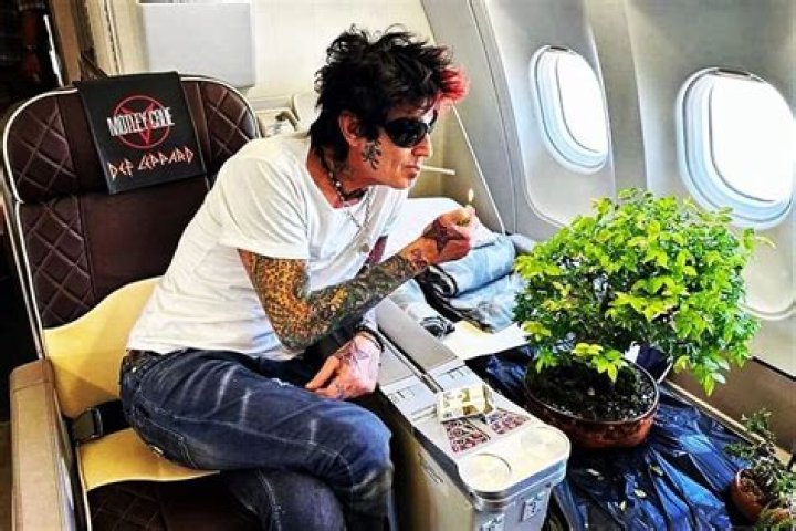 Tommy Lee's shocking anti-trans re-post causes uproar on Instagram