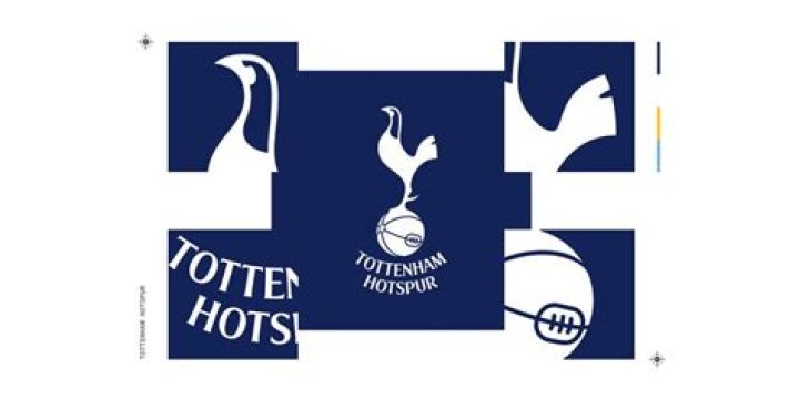 Tottenham’s badge: ‘Harry Hotspur’, a cockerel and a schoolboy dream