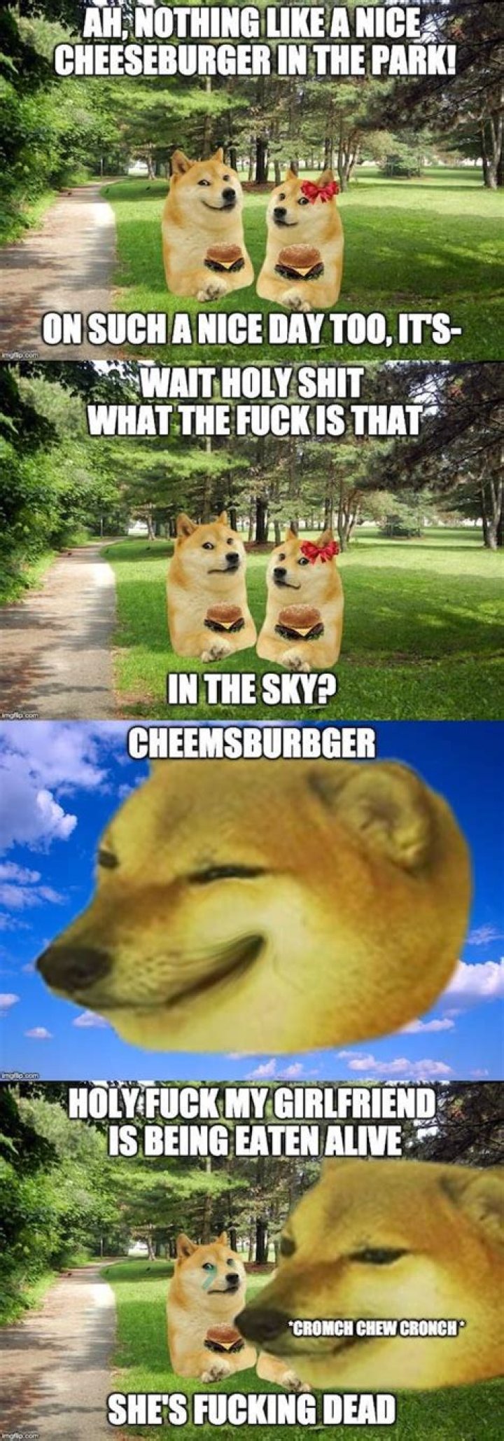 Tragic Death of Cheems Dog