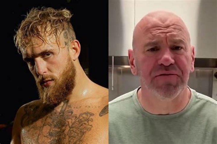 UFC: Jake Paul calls out Dana White over Fury-Jones fight possibility