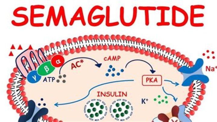 Understanding Semaglutide And Its Potential Impact On Lupus