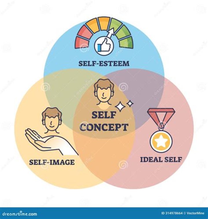 Understanding The Concept Of 