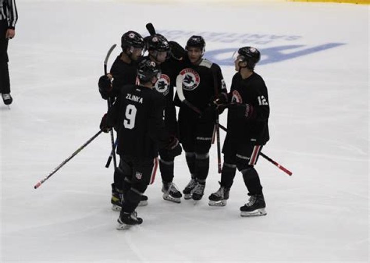 USHL (Tier I) - Waterloo Black Hawks (Junior Hockey) Men's Ice Hockey Scholarships Guide