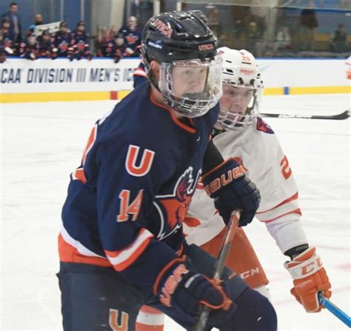 Utica University Men's Ice Hockey Program Information