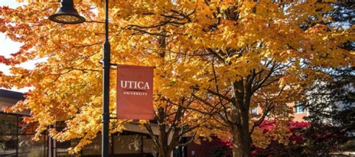 Utica University Men's Lacrosse Program Information