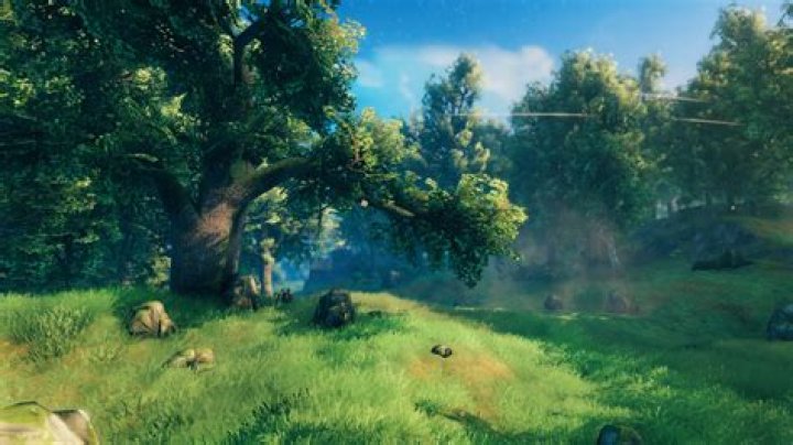 Valheim Seeds - How to Plant Seeds