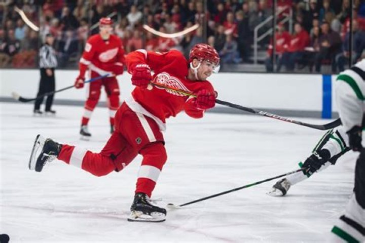 Video scouting report: How Filip Zadina can take his goal-scoring talent to the next level