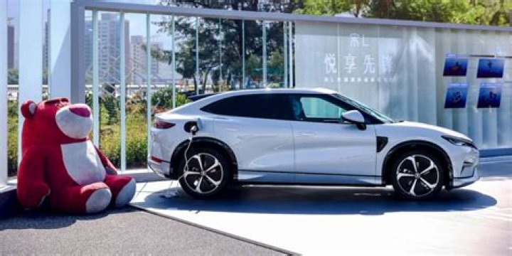 Wang Chuanfu: Building electric dreams in China