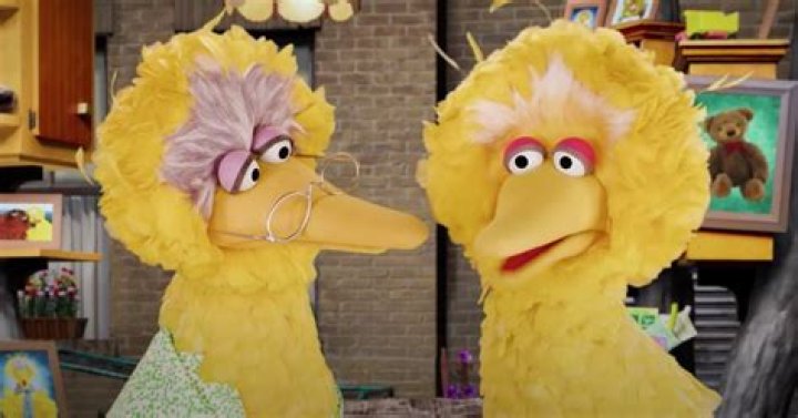 Watch Big Bird's Granny Explain COVID Vaccines For Kids