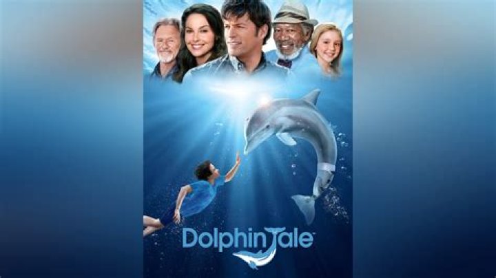 Watch the Trailer for Dolphin Tale, Featuring a Fearsome Cyborg Dolphin