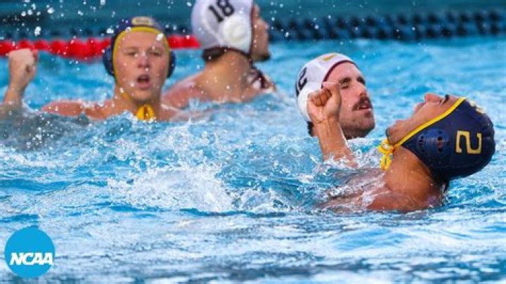 Water Polo: Men's vs. Women's
