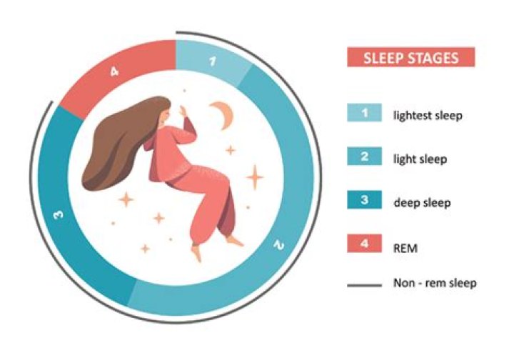 What Are Rapid Eye Movements and REM Sleep?