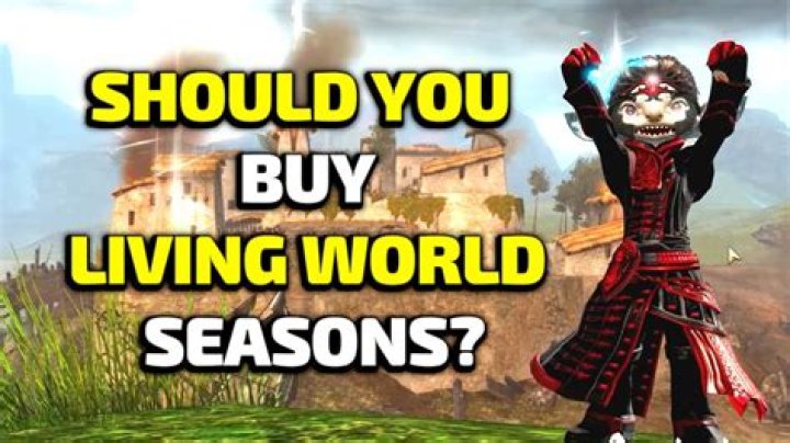 What bag should I buy GW2?