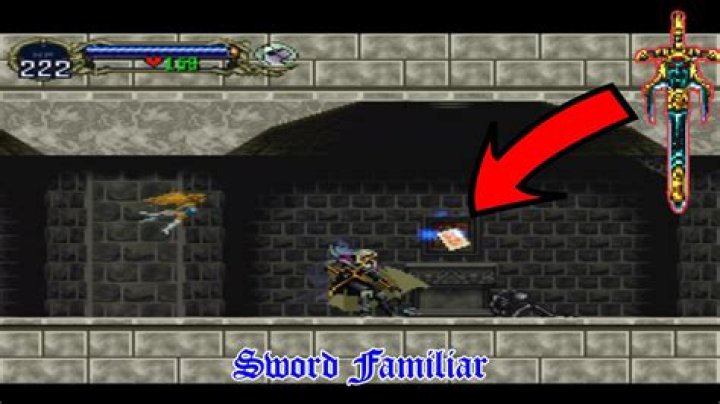 What do familiars do Sotn?