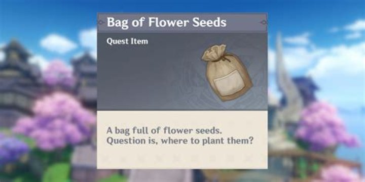 What do I do with bag of flower seeds Genshin?
