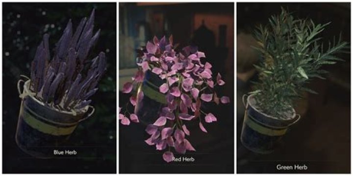 What do I do with the remake of Red Jewel RE2?