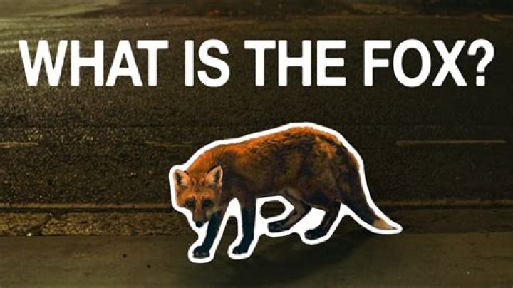 What Does the Fleabag Fox Mean?