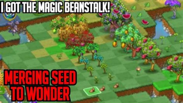 What happens when you get a wonder in Merge dragons?